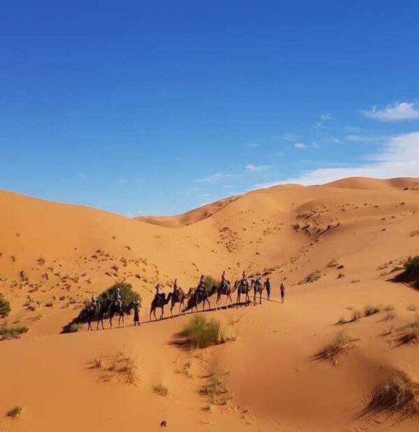 Desert Tours from Marrakech to Fez