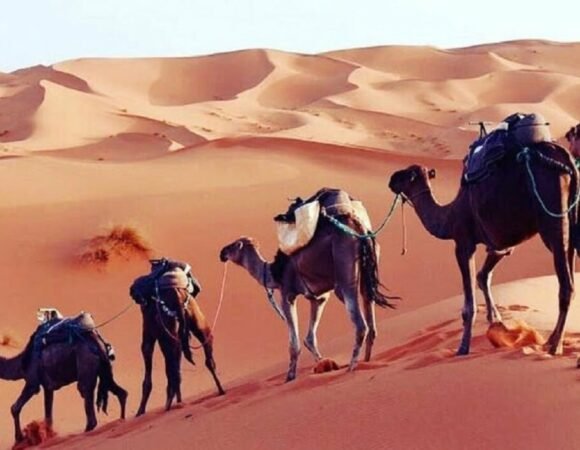 3 Days Sahara Desert Tour